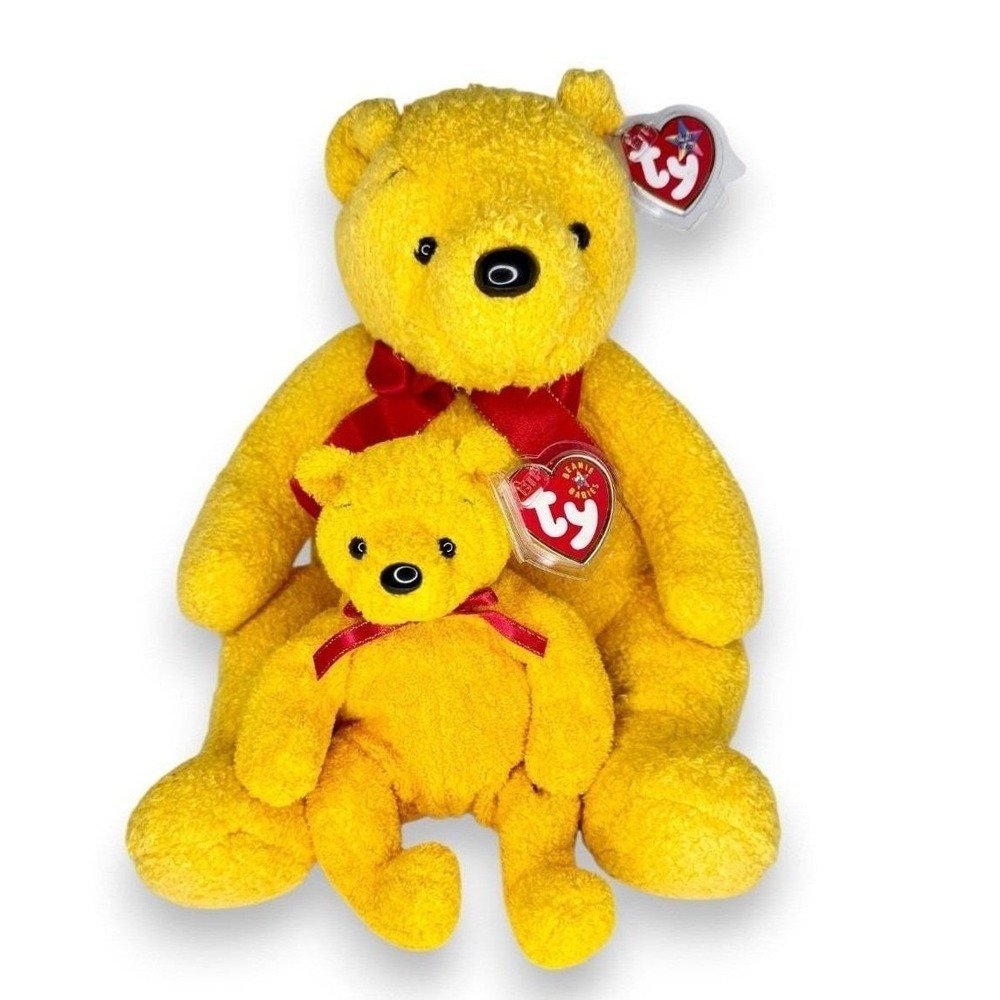Poopsie the Bear Duo | Honey Hug Pair | Mint Heart Tags TY Beanie Baby & Buddy